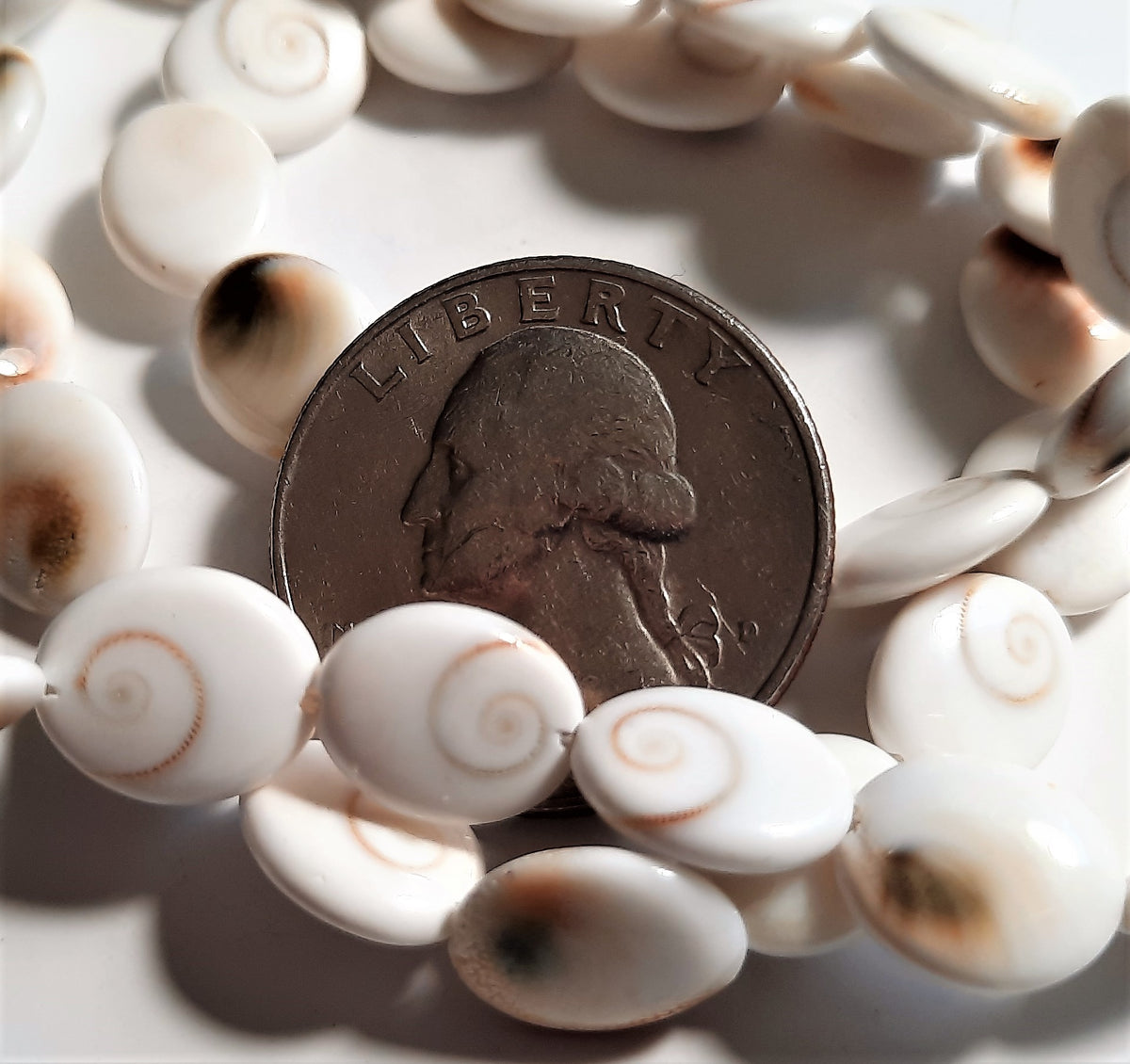 Shiva Eye 10-12x14mm Oval Shell Beads 12ct Dakota Stones Pacific Cat's Eye