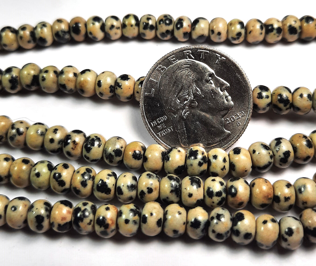 6x4mm Dalmation Jasper Smooth Rondelle Gemstone Beads 8-Inch Strand